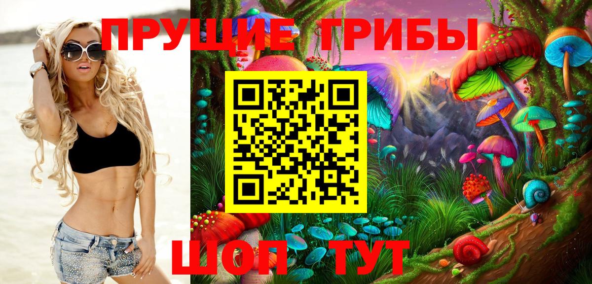 Кандалакша  Галлюциногенные грибы мицелий  Галлюциногенные грибы мицелий  Вход с VPN 