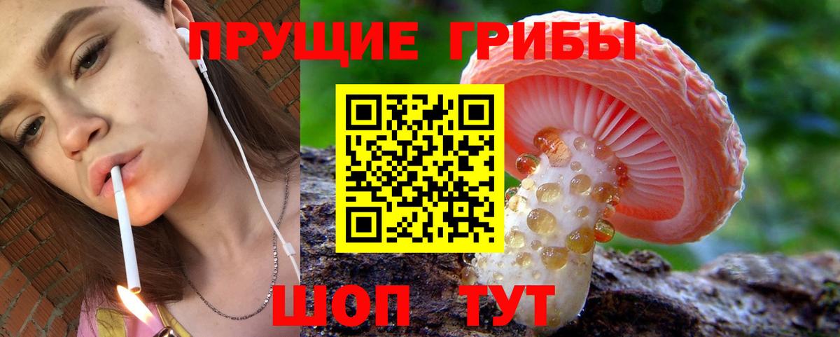 Псилоцибиновые грибы мухоморы Кандалакша